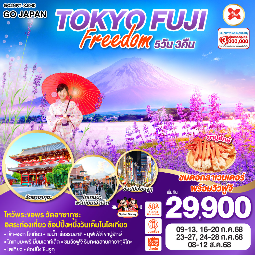 ทัวร์ญี่ปุ่น TOKYO FUJI FREEDOM 5วัน 3คืน(XJ)