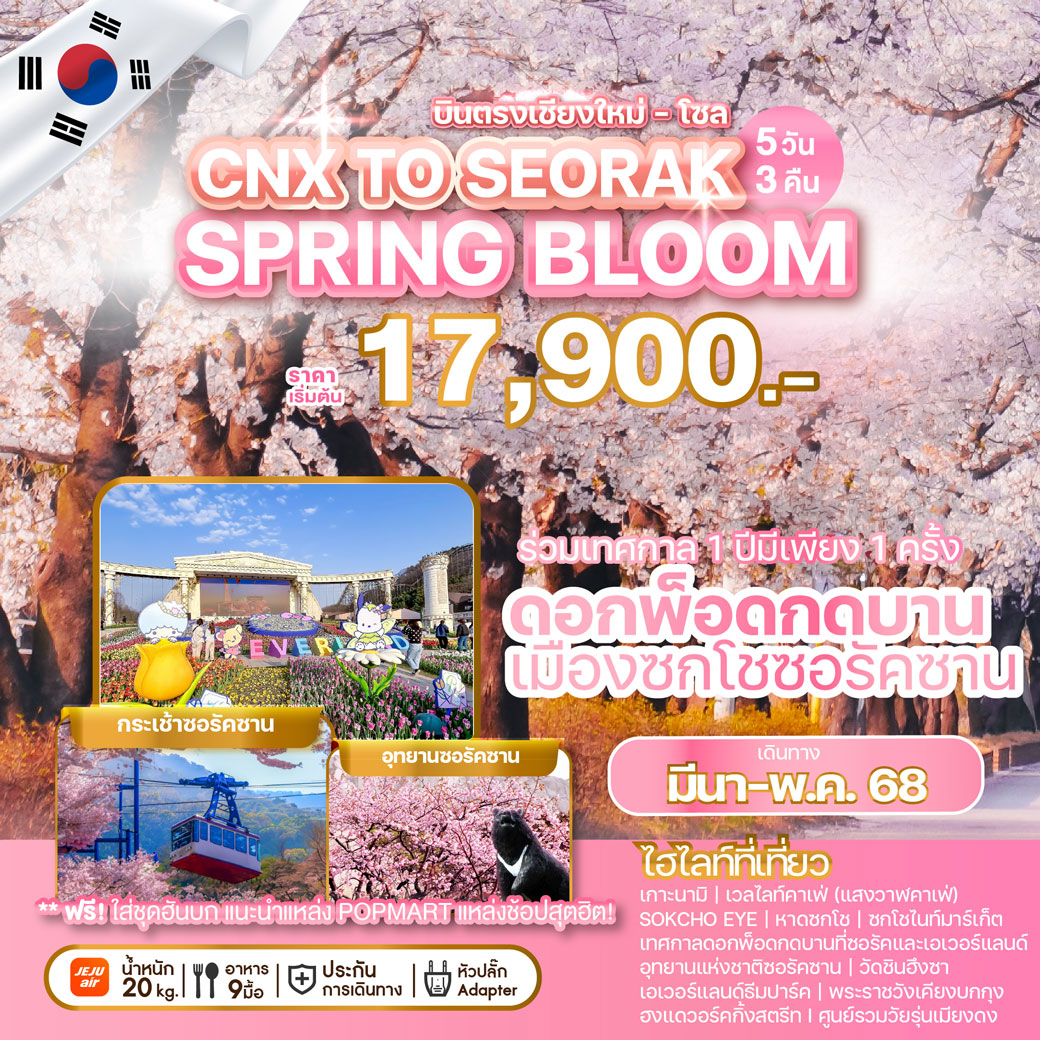 ทัวร์เกาหลี บินตรงเชียงใหม่ - โซล CHIANG MAI TO SEORAK SPRING BLOOM 5วัน 3คืน (7U)