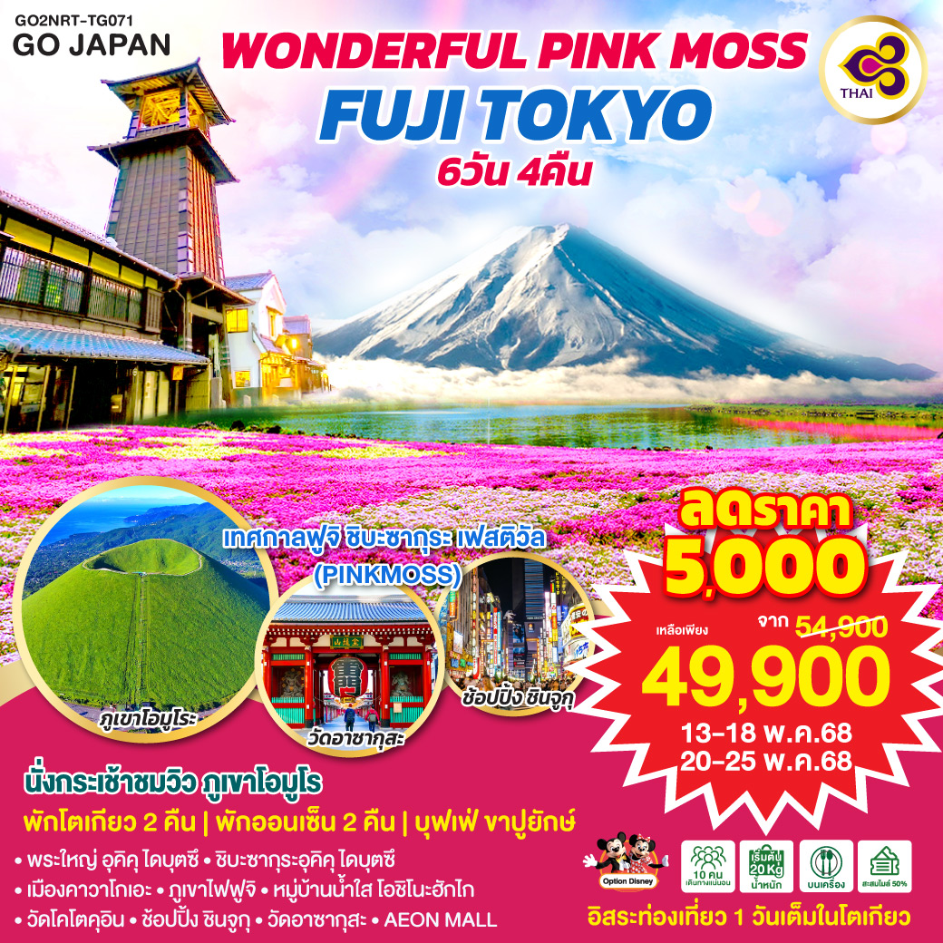 ทัวร์ญี่ปุ่น ONDERFUL PINKMOSS FUJI TOKYO 6วัน 4คืน [TG]